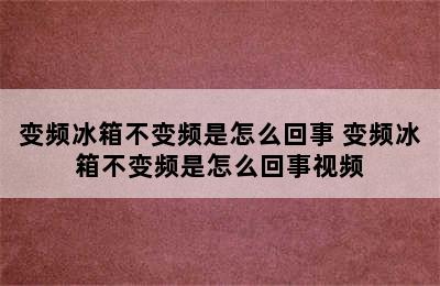 变频冰箱不变频是怎么回事 变频冰箱不变频是怎么回事视频